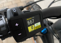 BULLS E-STREAM EVO AM 5 29" 44cm 667km 2024 UVP: 7199€