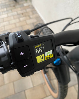 BULLS E-STREAM EVO AM 5 29" 44cm 667km 2024 UVP: 7199€