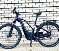 E-BIKE BERGAMONT E-HORIZON SPORT 6 625 48cm NUR 195km UVP: 3899€