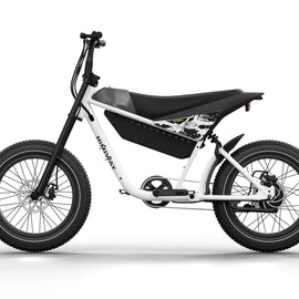 E-Bike Himiway C5 Premium Moped Style SPORT UVP: 1999€ AKTION