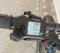 E-MTB Focus Sam² LTD (2022) | 725WH 44cm NUR 1280km UVP: 3999€