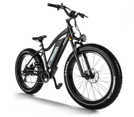NEU E-BIKE  HIMIWAY CRUISER All Terrain