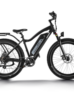 NEU E-BIKE  HIMIWAY CRUISER All Terrain