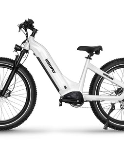 HIMIWAY D5 (Zebra) Premium Elektrisches All Terrain Fatbike Aktion