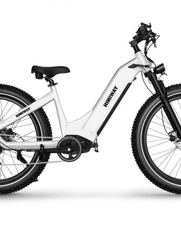 HIMIWAY D5 (Zebra) Premium Elektrisches All Terrain Fatbike Aktion