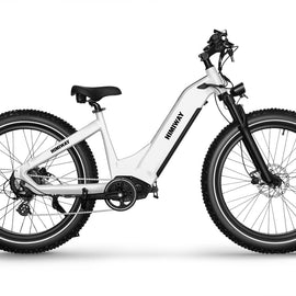 HIMIWAY ZEBRA Premium Elektrisches All Terrain Fatbike Vorsaison Aktion