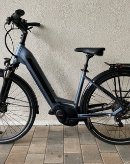 E-BIKE Pegasus Premio EVO CX | NUR 940km 45cm UVP: 3989€