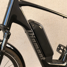 Diamant Zing Gen 2 – SUV E-Bike, Bosch CX 545 Wh, RH 54 cm | neuwertig