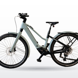 Winora iRide Pure X10