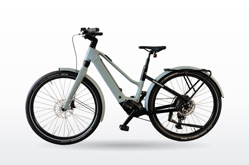 Winora iRide Pure X10